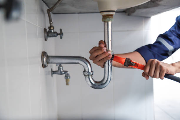 Best Residential Plumbing Services  in Centreville, MD