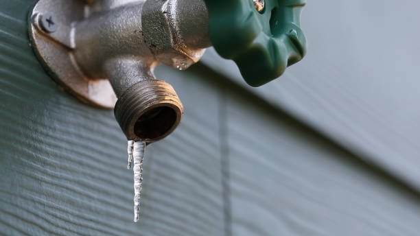 Best Plumbing Services Near Me  in Centreville, MD