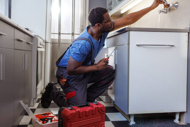 Professional Plumbing in Centreville, MD