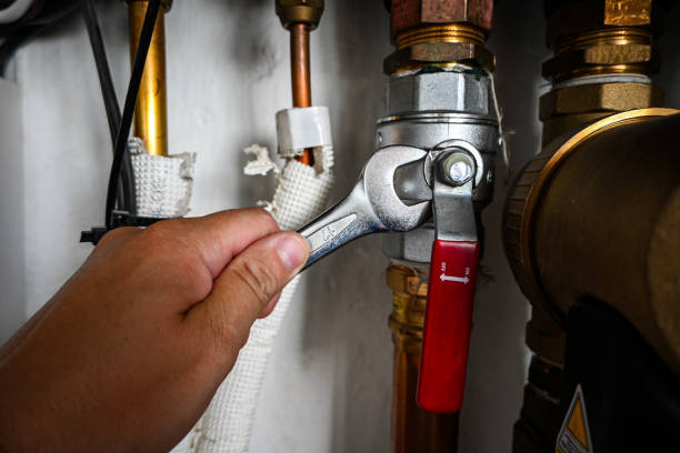 Best Plumbing Inspection Services  in Centreville, MD